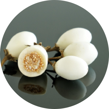 White egg plant